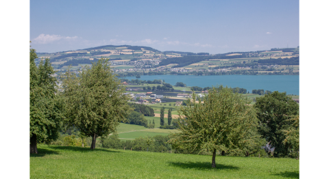 Bauernhof Bisang, Nottwil